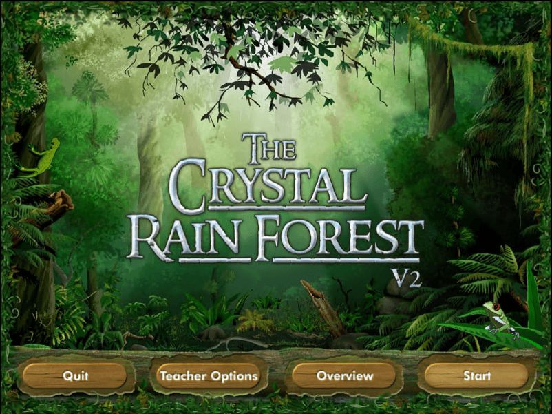 Crystal Rain Forest